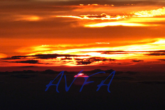 AVFA4842