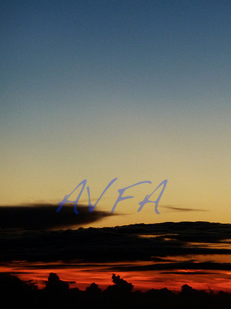 AVFA4788