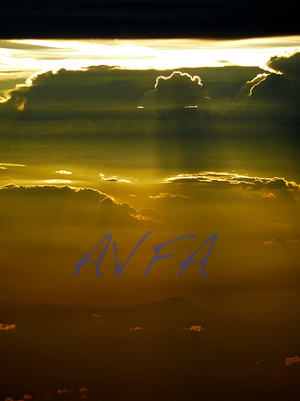 AVFA338