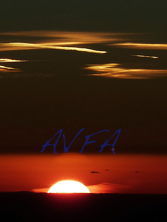 AVFA80032