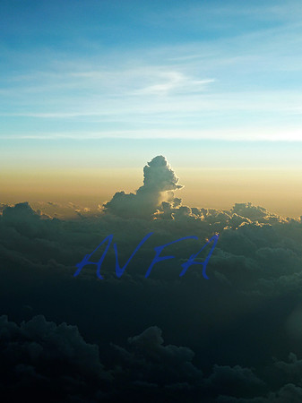 AVFA364