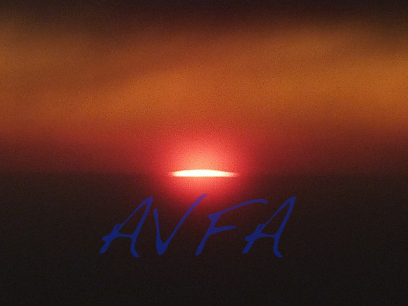 AVFA384