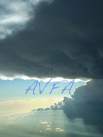 AVFA1109