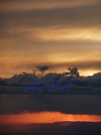 AVFA901