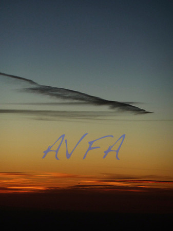 AVFA80064