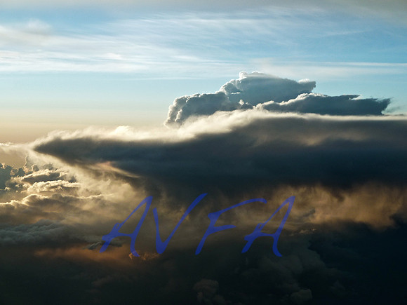 AVFA346