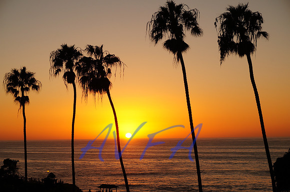Five Palm San Diego Sunset