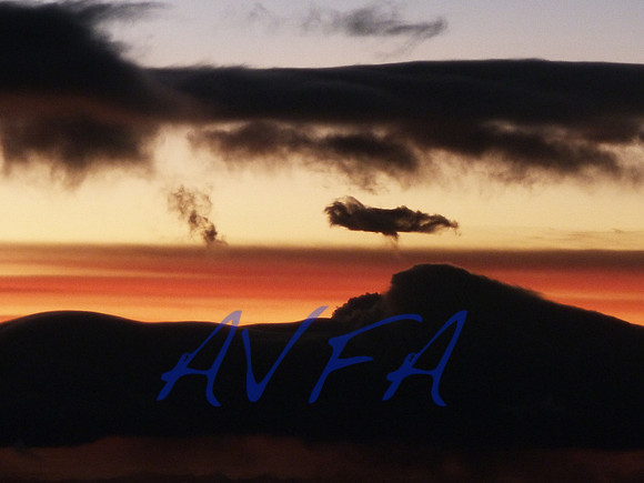 AVFA411