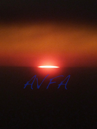 AVFA385