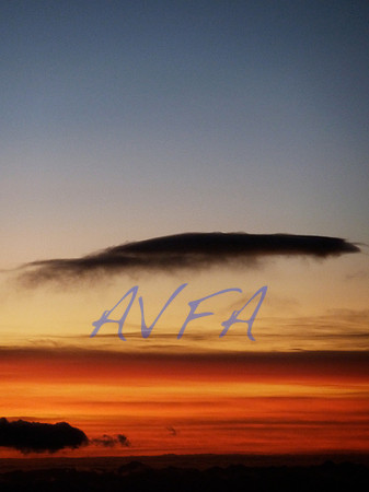 AVFA455