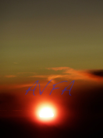 AVFA379