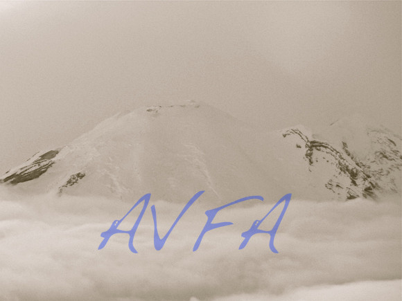 AVFA559