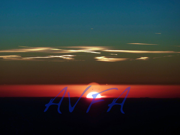 AVFA80029