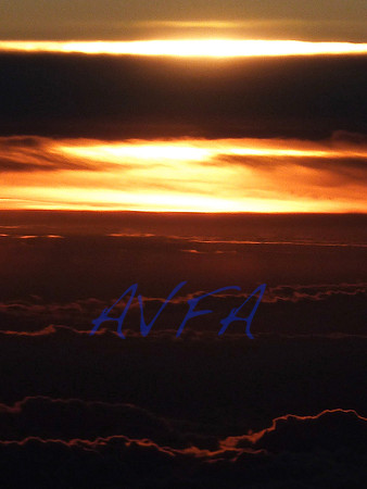 AVFA506