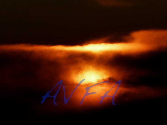 AVFA374