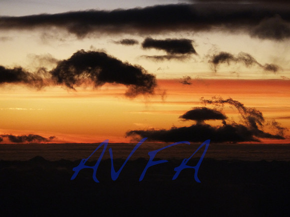 AVFA405