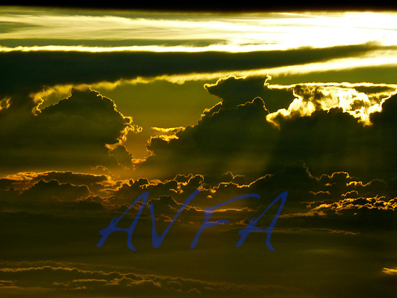 AVFA341