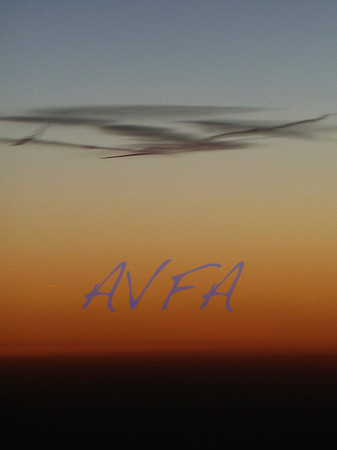 AVFA80062