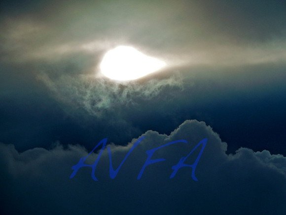 AVFA565