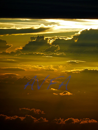 AVFA339