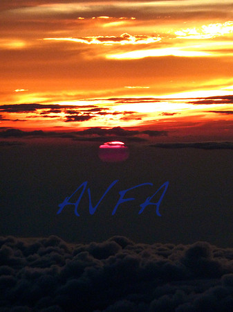 AVFA4840