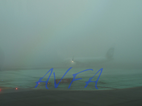 AVFA80095