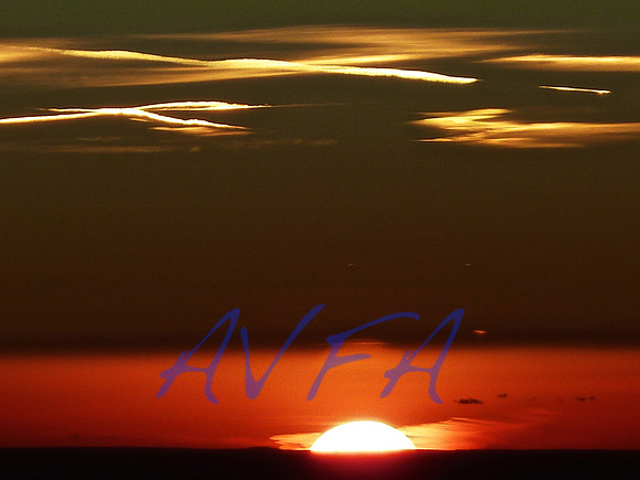 AVFA80033