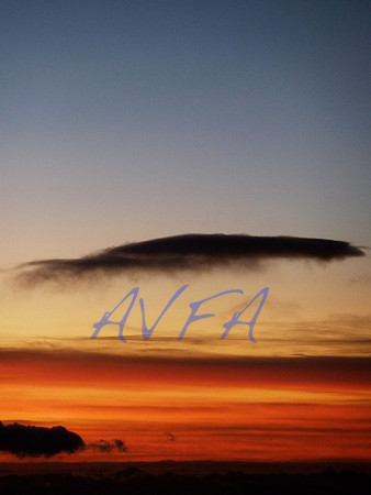 AVFA409