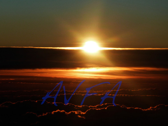 AVFA505