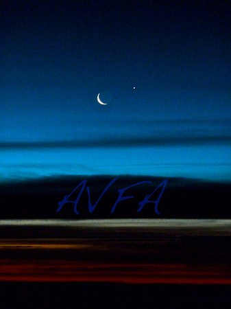 AVFA1000