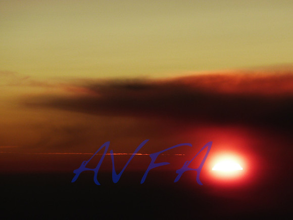 AVFA383