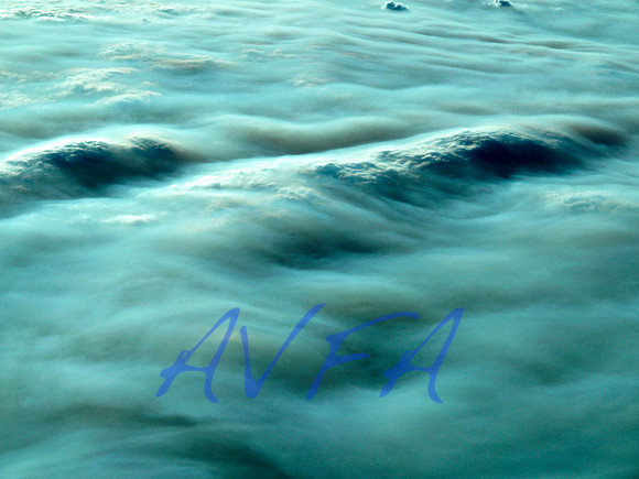 AVFA295