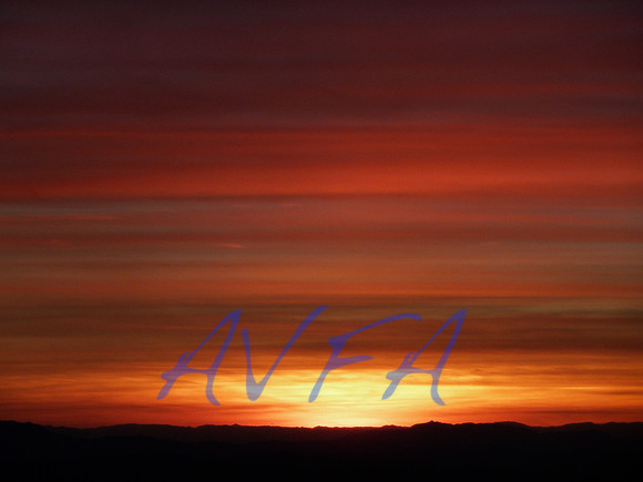 AVFA281