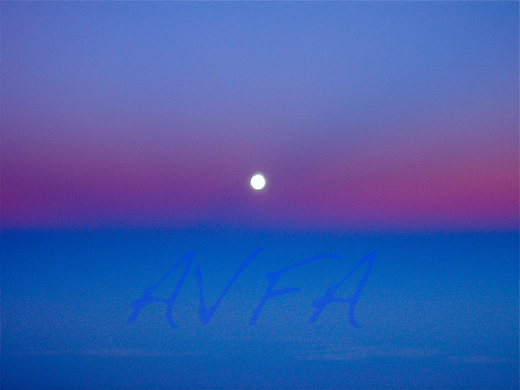 AVFA114
