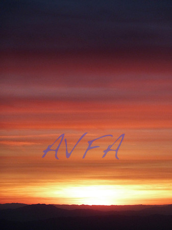 AVFA284