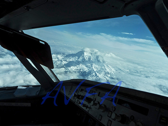 AVFA80084