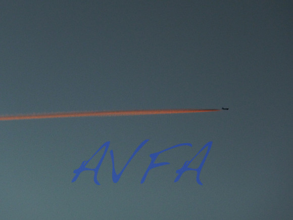 AVFA80028