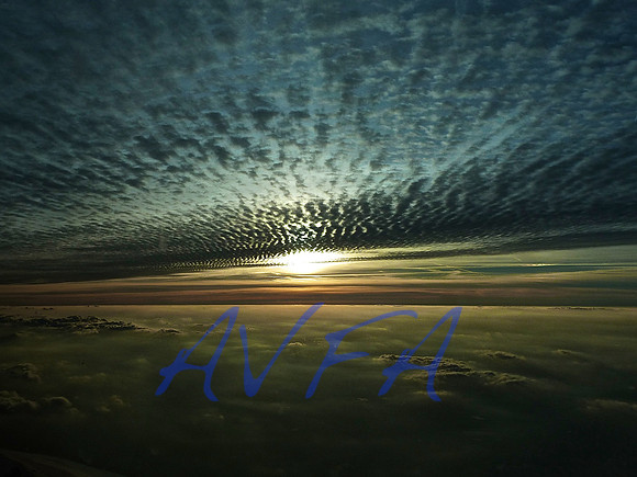 AVFA110531