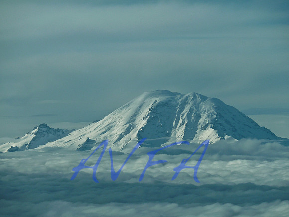 AVFA571