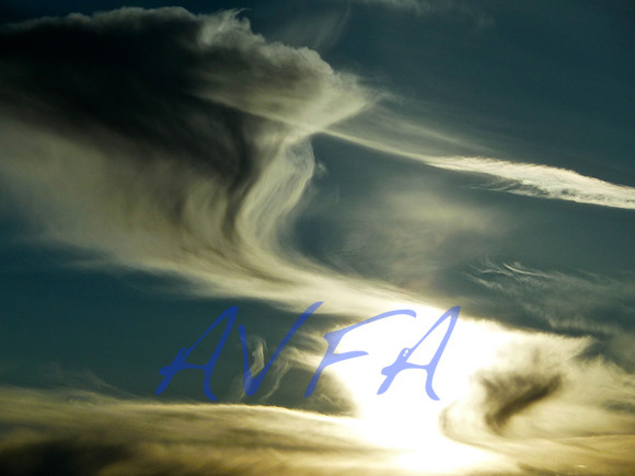 AVFA704