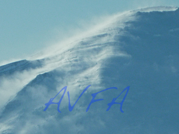 AVFA303