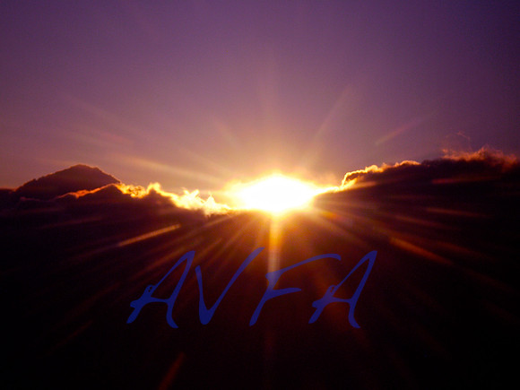 AVFA185v3