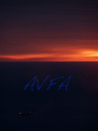 AVFA291