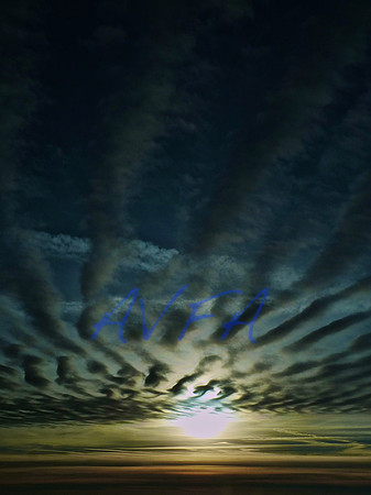 SKY SNAKES