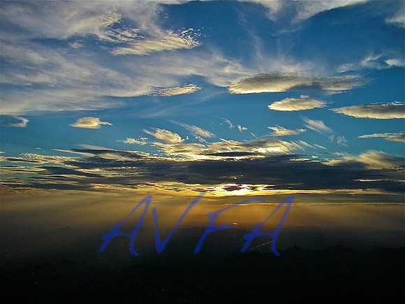AVFA127