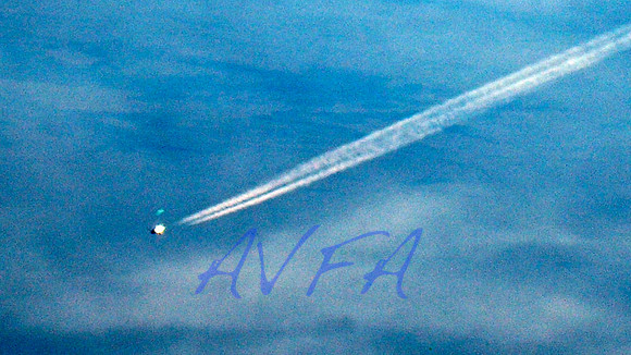 AVFA226v2c