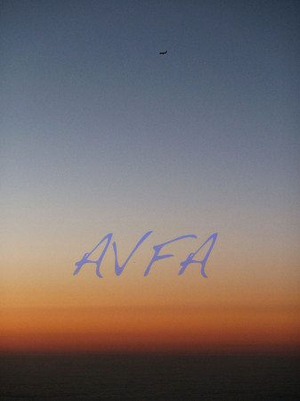 AVFA311