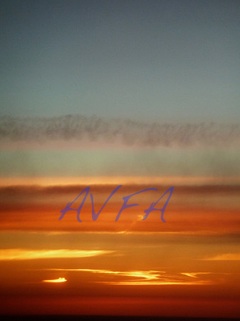 AVFA1011