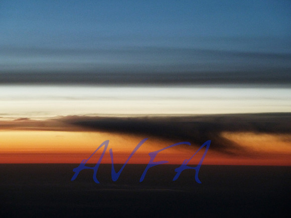 AVFA1008