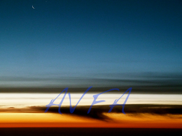 AVFA1007